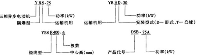 YBS系列運輸機(jī)用隔爆型異步電動機(jī)概述及結(jié)構(gòu)簡介